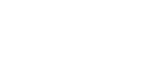 WP annahorakova.com