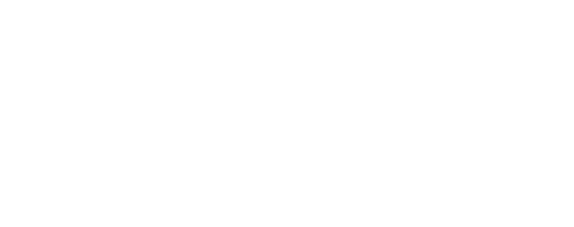 WP annahorakova.com