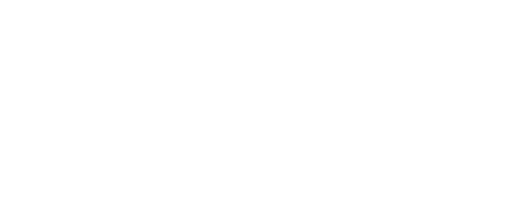 WP annahorakova.com
